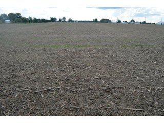 Property photo 18 - EHLE FARMS AUCTION - 118+/- ACRES IN 9 TRACTS IN ALLEN COUNTY, INDIANA